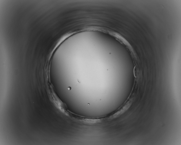 X0000086320860200704131652