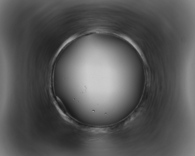 X0000086320861200704131652