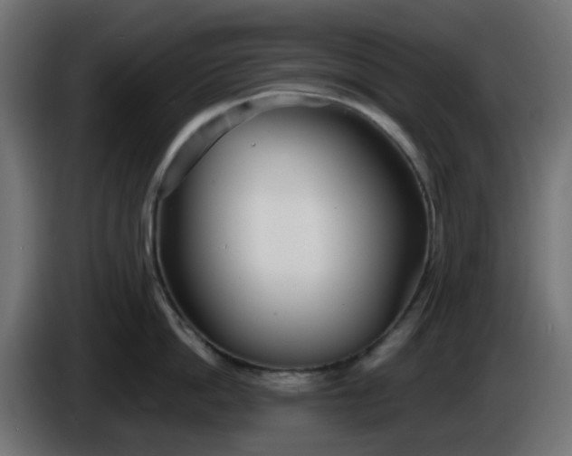 X0000086320862200704131652