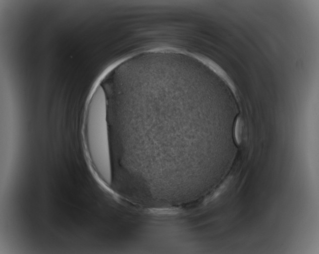 X0000086320863200704131652