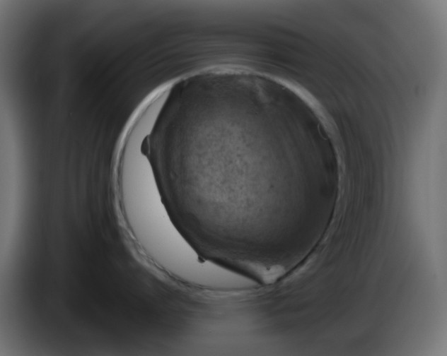 X0000086320864200704131652