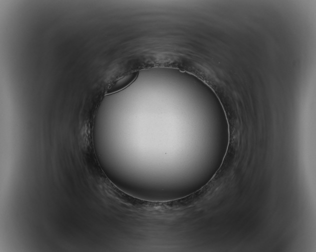 X0000086320866200704131651