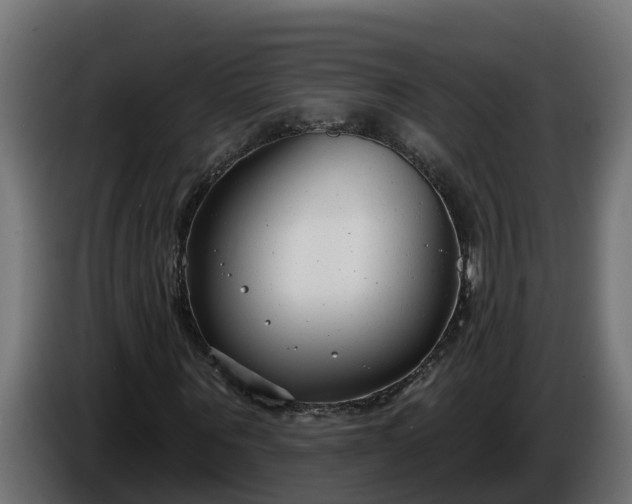 X0000086320867200704131651