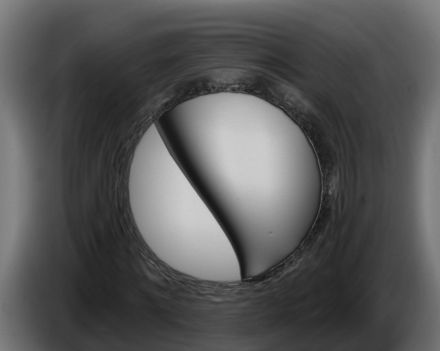 X0000086320868200704131651