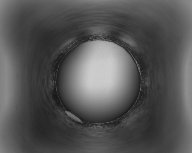 X0000086320869200704131651