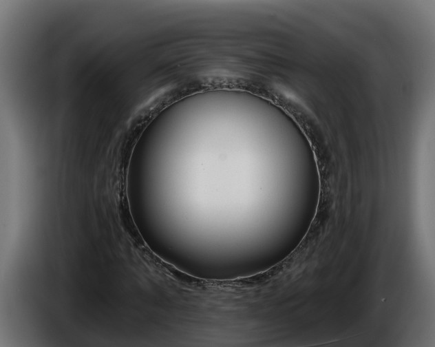 X0000086320870200704131651