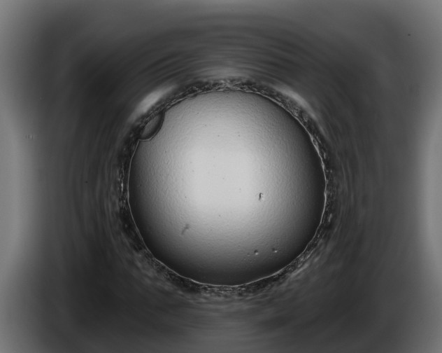 X0000086320871200704131651