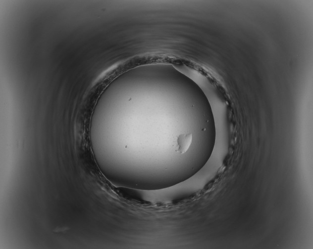 X0000086320872200704131651