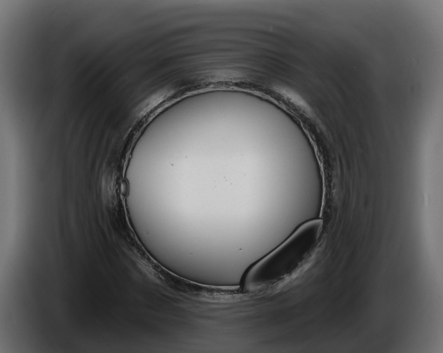 X0000086320873200704131651