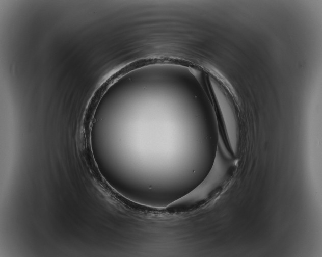 X0000086320876200704131651