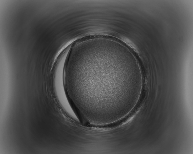 X0000086320877200704131651