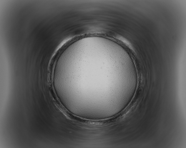 X0000086320878200704131651