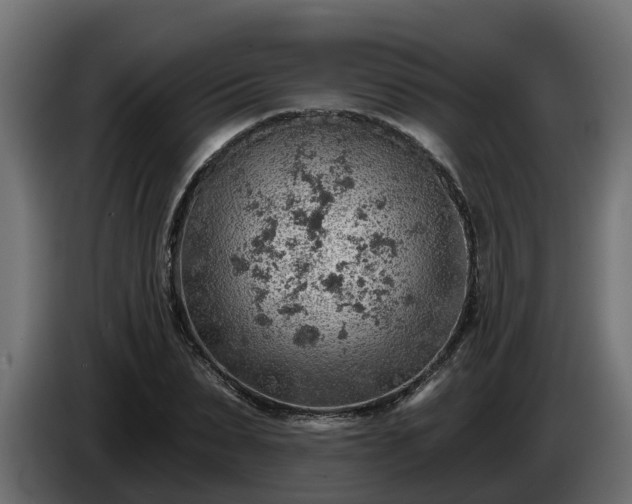 X0000086320879200704131651