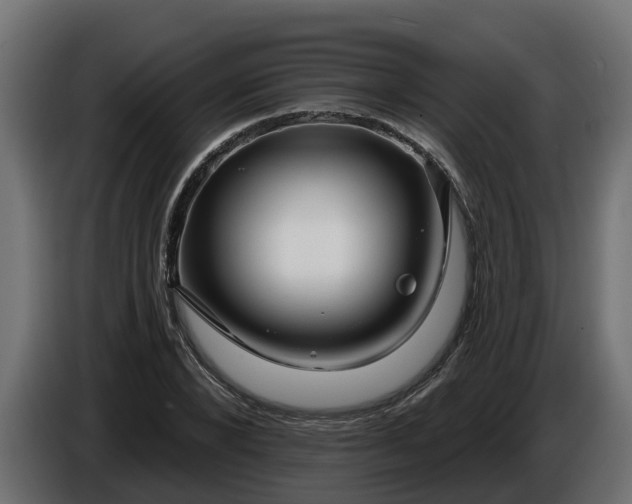 X0000086320880200704131651