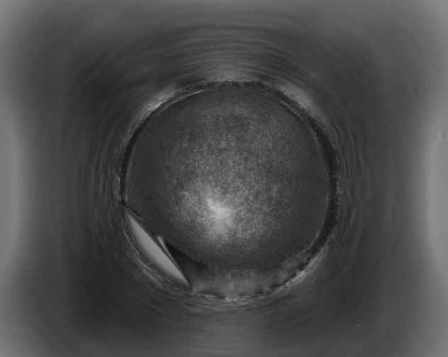 X0000086320881200704131651