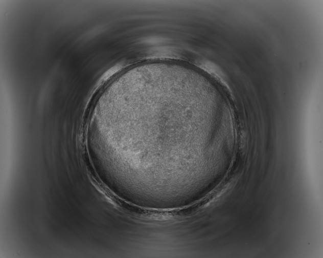 X0000086320882200704131651