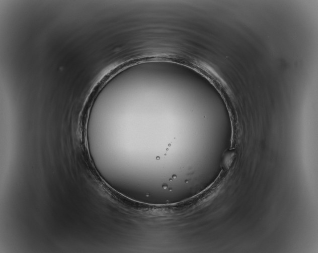 X0000086320883200704131651