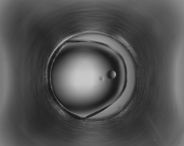 X0000086320884200704131651