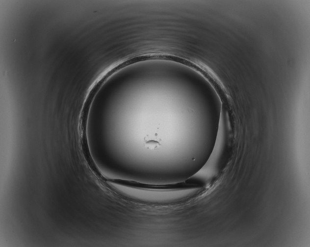 X0000086320885200704131651