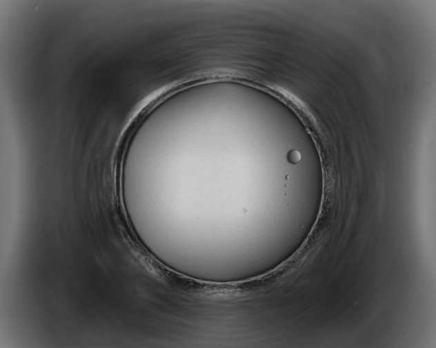 X0000086320886200704131651