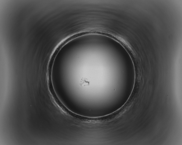 X0000086320888200704131651