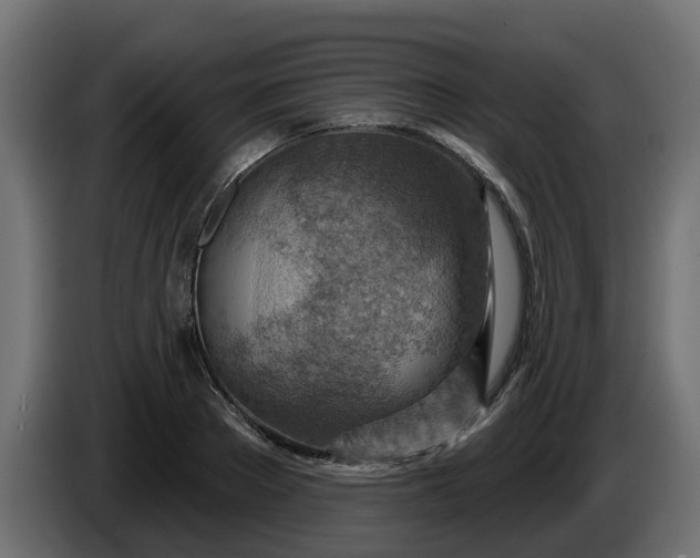 X0000086320889200704131651