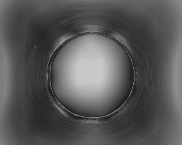 X0000086320890200704131651