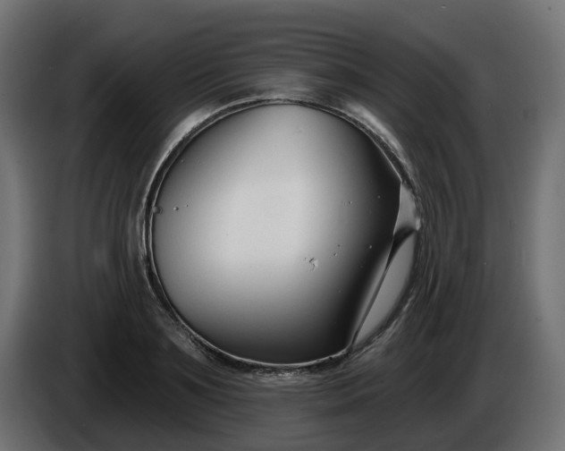 X0000086320891200704131651