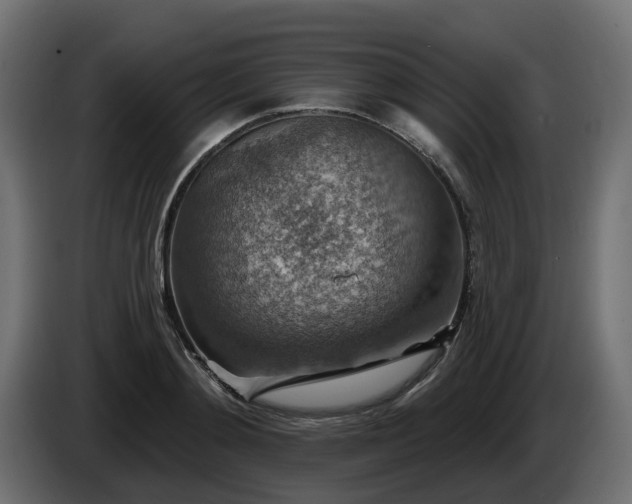 X0000086320892200704131651