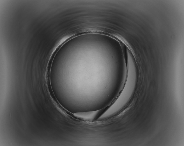 X0000086320893200704131651