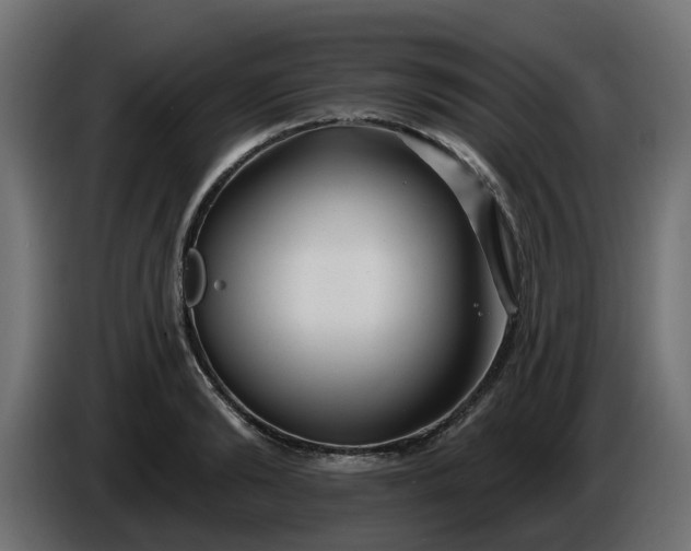 X0000086320894200704131651