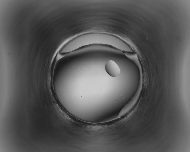 X0000086320896200704131651