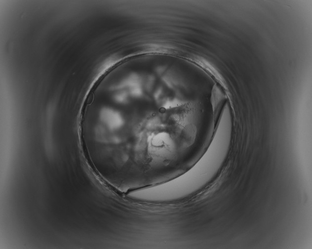 X0000086320899200704131651