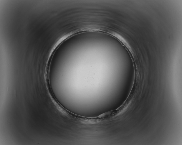 X0000086320901200704131651