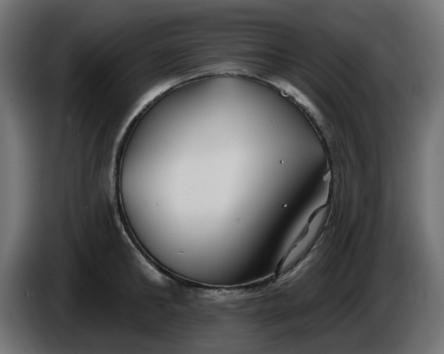 X0000086320902200704131651