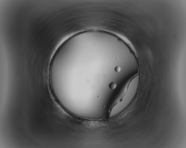 X0000086320903200704131651