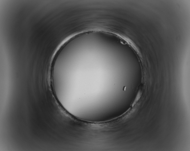 X0000086320904200704131651