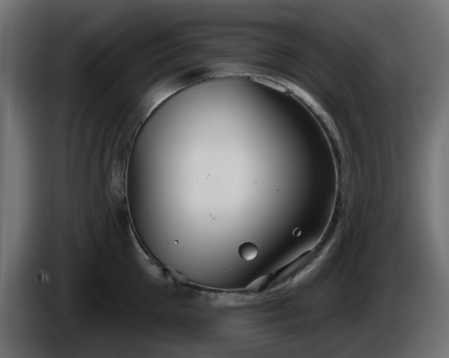 X0000086320905200704131651