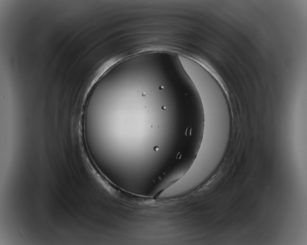 X0000086320906200704131651