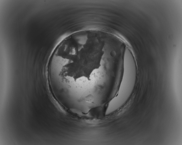 X0000086320907200704131651