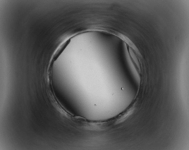 X0000086320908200704131651