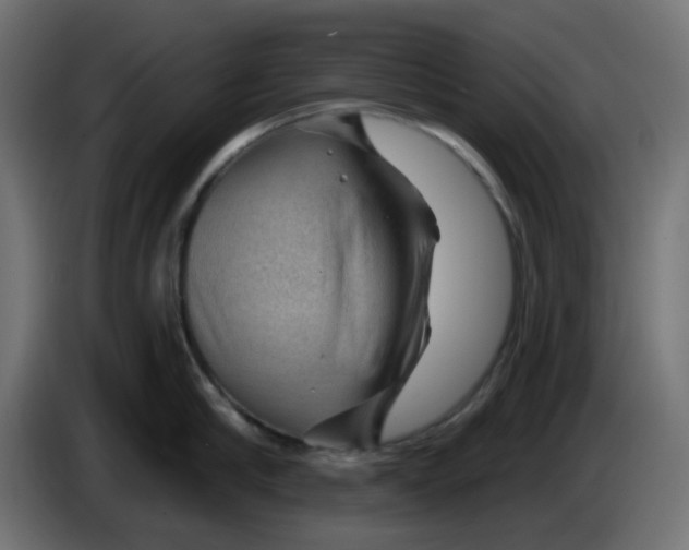 X0000086320910200704131651