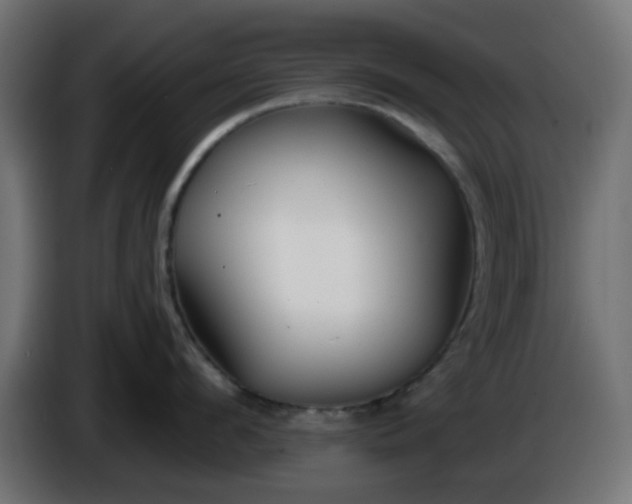 X0000086320912200704131650