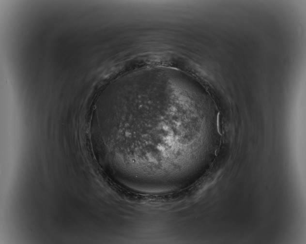 X0000086320913200704131650