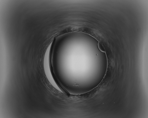 X0000086320914200704131650