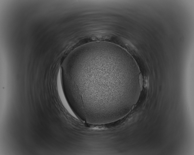 X0000086320915200704131650