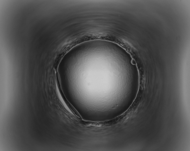 X0000086320917200704131650