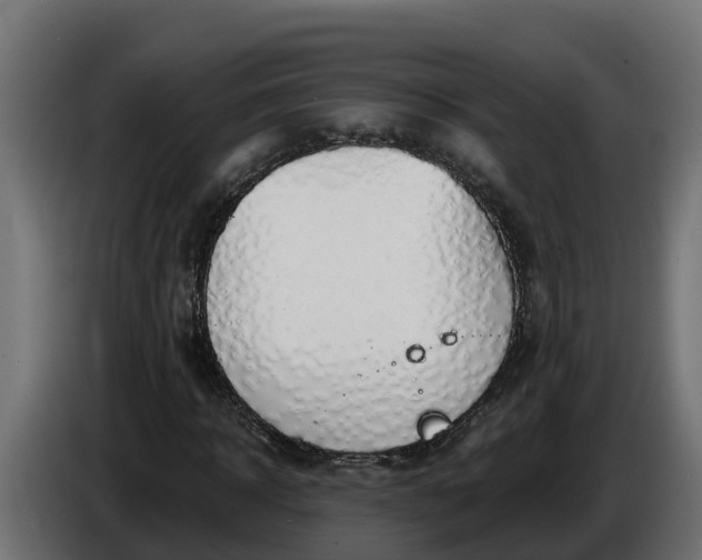 X0000086320918200704131650