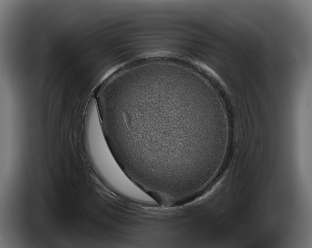 X0000086320921200704131650