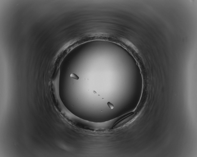 X0000086320922200704131650